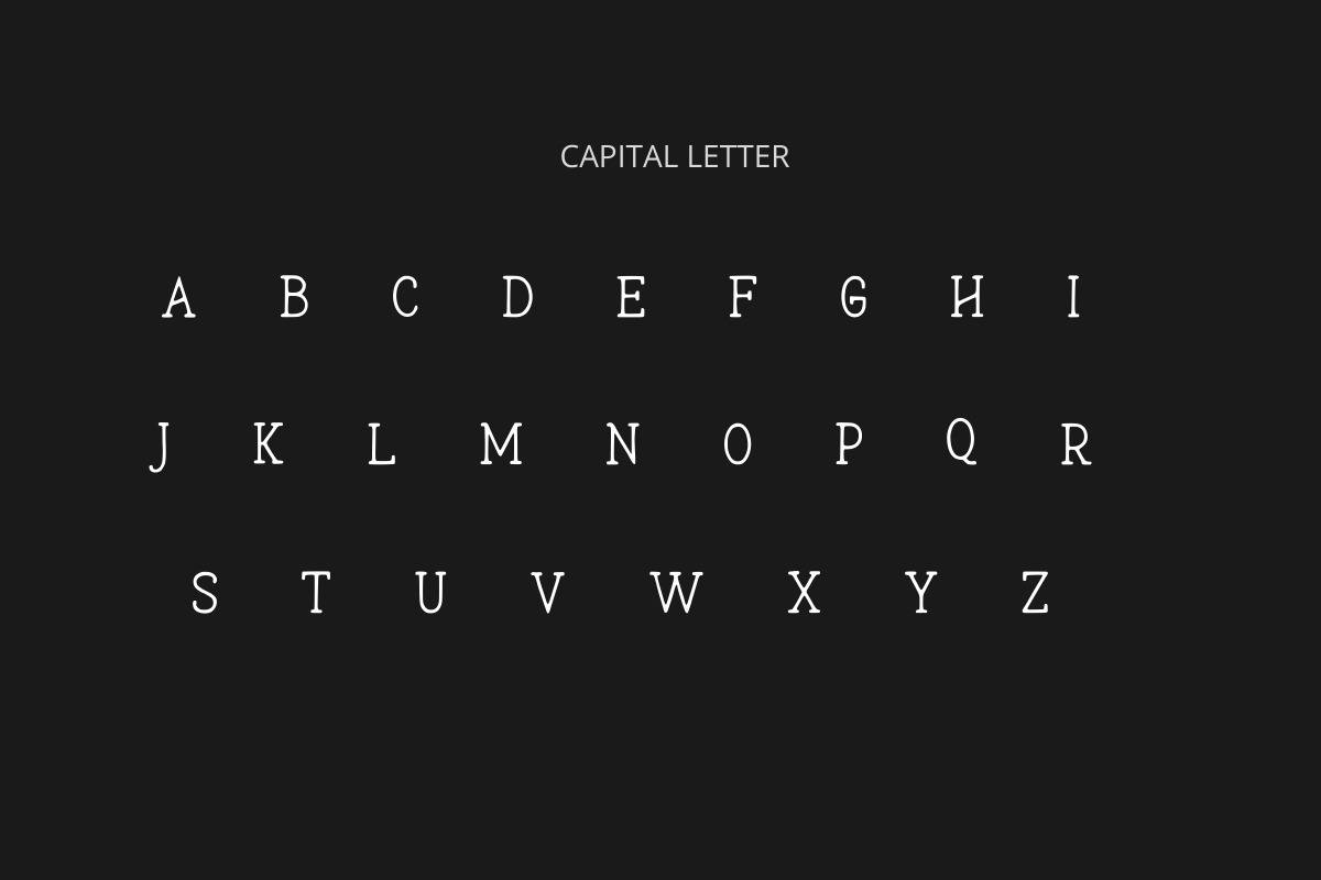 Marlowe Modern Mono Serif Typeface, a Serif Font by AN Productions (Photo 3 of 6)