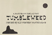 Tumbleweed Hand Drawn Western Font, a Handwritten Font by Madeline ODonoghue Design (Thumbnail 3 of 6)
