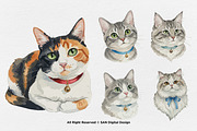 15 Bundle Watercolor Cats Face Flufy, an Animal Illustration by Morspective (Thumbnail 6 of 8)