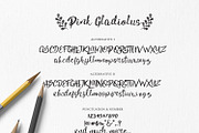 Pink Gladiolus, a Script Font by madeDeduk (Thumbnail 7 of 8)