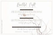 Beautiful Night Script Font, a Script Font by SiDesign (Thumbnail 6 of 10)