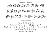 Dinner | Script Font, a Script Font by Scratchones (Thumbnail 3 of 8)