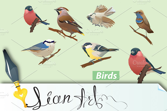 Set Of Birds
