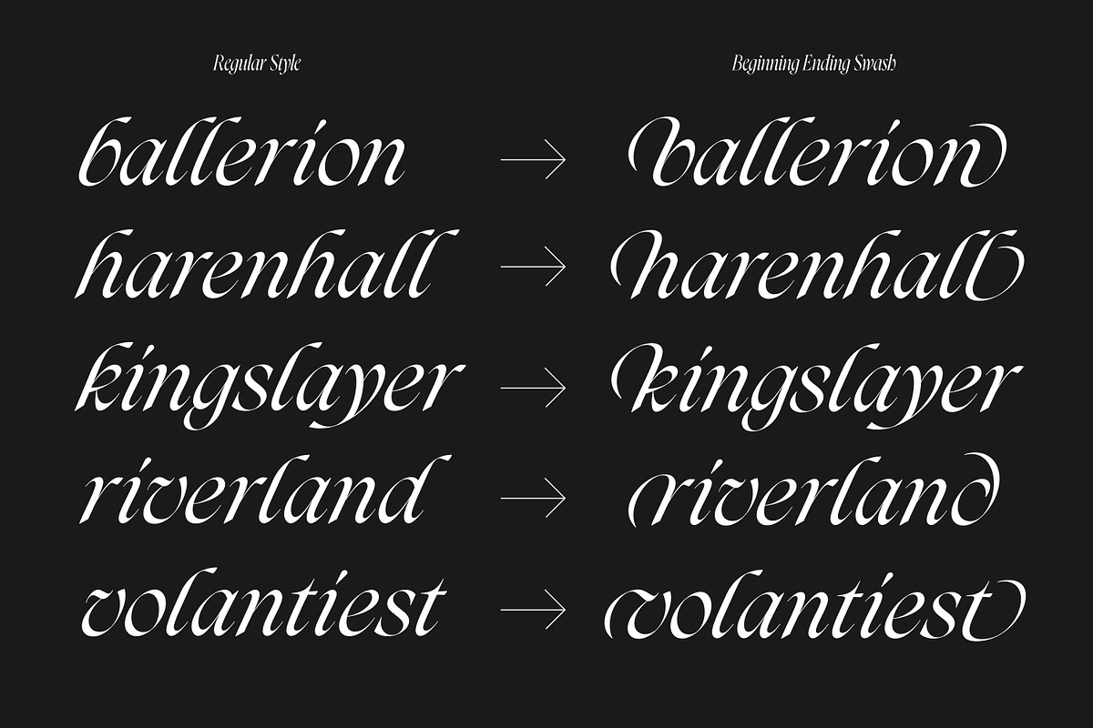 Darkslide - Elegant Display Serif, a Font by Swandtype (Photo 4 of 9)