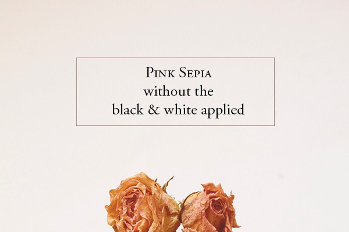Pink Sepia Photoshop Action, an Action Add-On by The Roark Division (Photo 4 of 5)