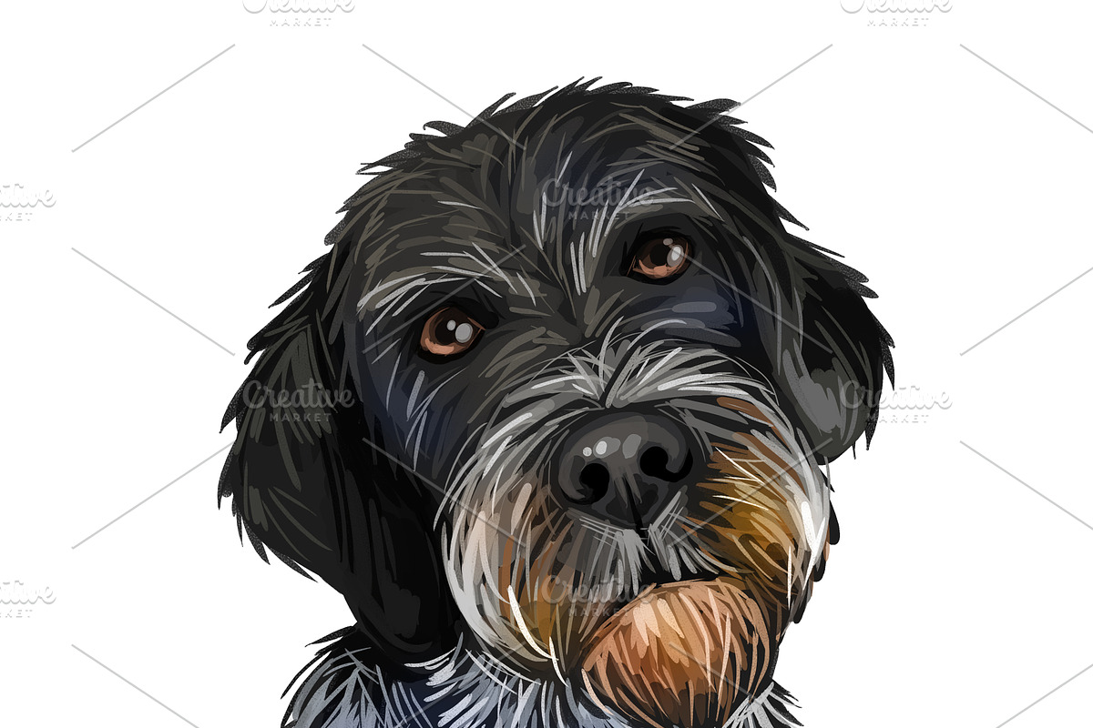 Puppies Dog Breeds Big Bundle 135Pcs, an Animal Illustration by Dneprstock (Photo 27 of 68)