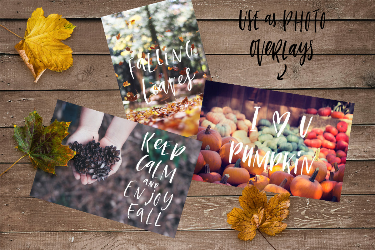 Autumn overlays, an Object Graphic by Artnis (Photo 2 of 9)