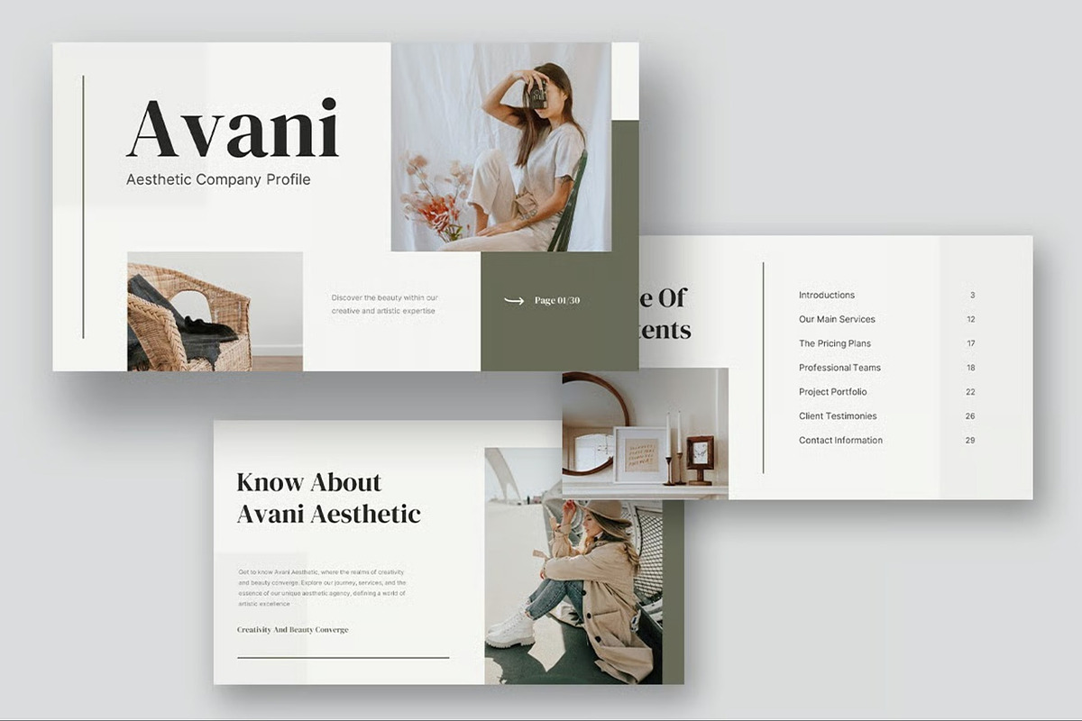Aesthetic Company Profile Powerpoint preview 6