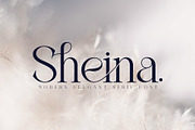 Sheina - Elegant Serif Font, a Serif Font by Ermedia Studio (Thumbnail 13 of 13)