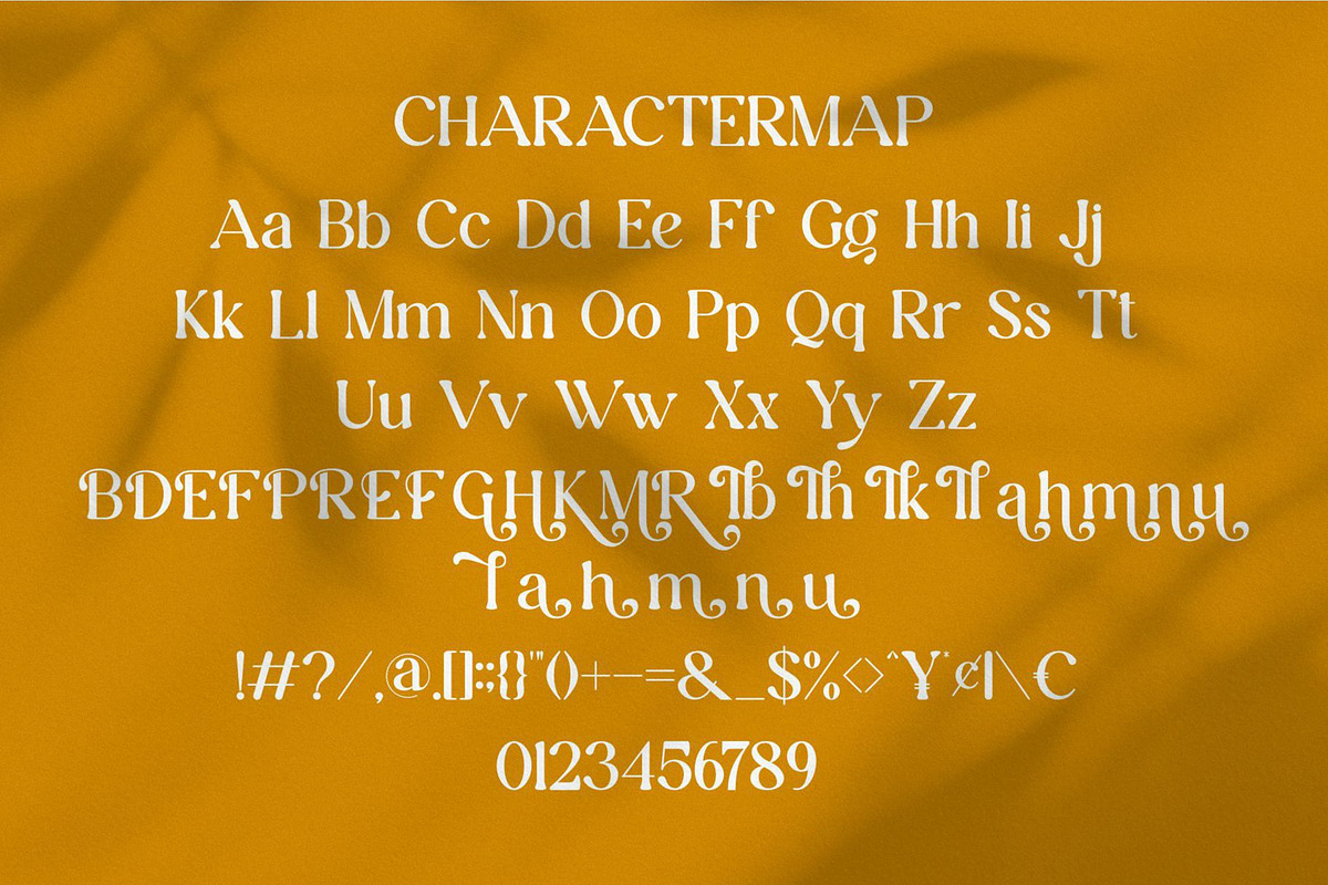 Thalea || Modern Retro Serif Font, a Serif Font by Ermedia Studio (Photo 8 of 10)