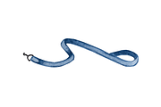 Dog care. 15 items, an Animal Illustration by Svetlana Barchan (Thumbnail 2 of 16)