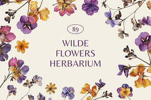 Wilde Flowers Herbarium Collection