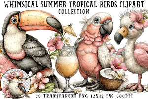Whimsical Summer Tropical Birds Clip, an Illustration by OK Design