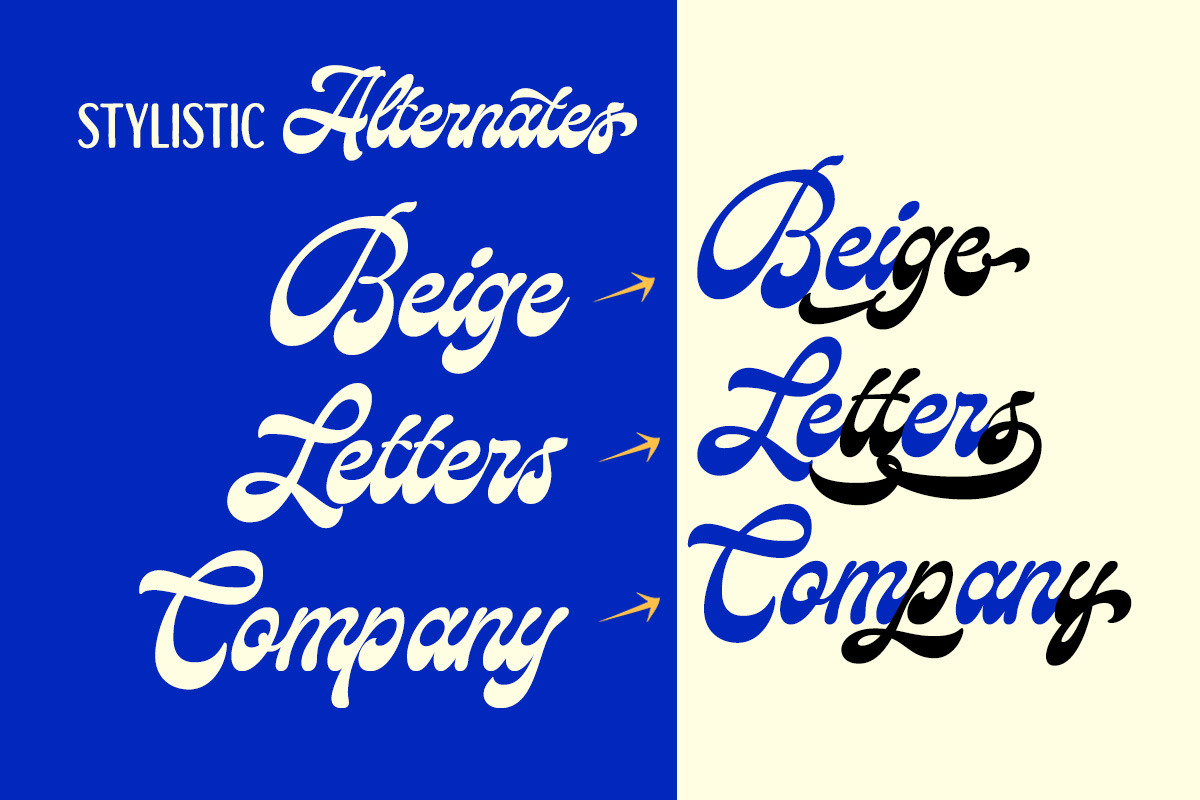 Relgone Script, a Script Font by Letterhend Studio (Photo 3 of 9)