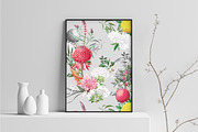 Verano, Summer Patterns & Motifs, a Pattern Graphic by Pink Linen (Thumbnail 5 of 9)