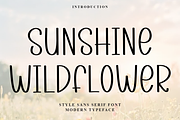 Sunshine Wildflower, a Sans Serif Font by FreshTypeINK (Thumbnail 1 of 6)