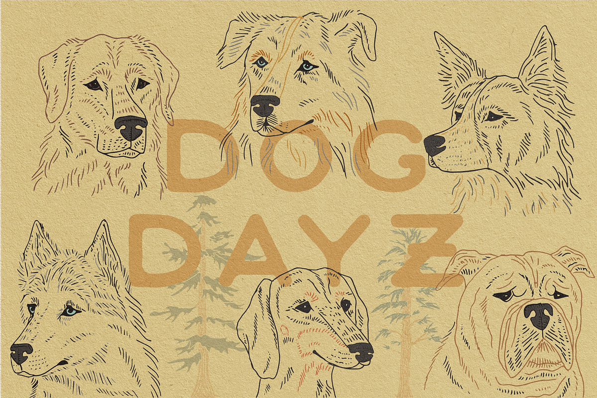 DOG DAYZ - Dog Illustration Set, an Illustration by Rayco Design