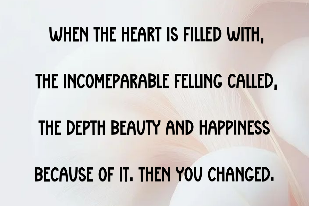 Solitude, a Script Font by InermediaSTUDIO (Photo 7 of 7)