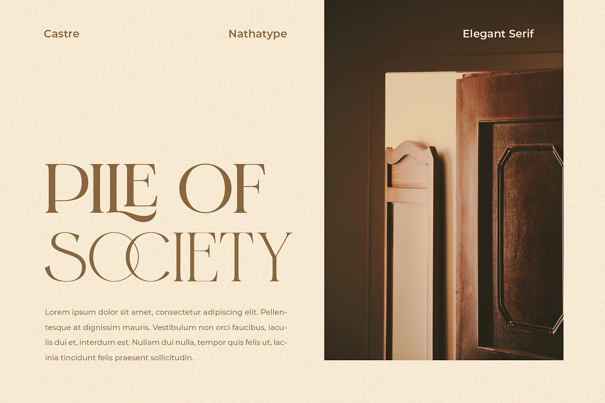 Castre - Serif Font Family (Updated), a Serif Font by Nathatype (Photo 7 of 13)