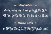 Anarion Script Font, a Script Font by Artlana (Thumbnail 4 of 11)