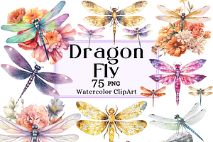 The Dragon Fly Collection Clipart