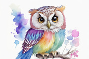 12 Watercolor baby owl clipart pack, an Animal Illustration by ZaaxPrintables (Thumbnail 5 of 8)
