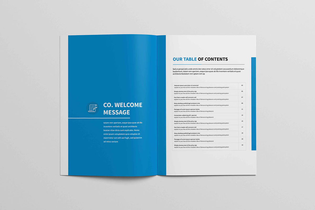 Annual Report Brochure, a Brochure Template by New Lines (Photo 2 of 13)