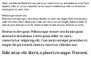 Font Tiki Polynesian Hawaiian Style, a Sans Serif Font by PageLightStudios (Thumbnail 3 of 4)