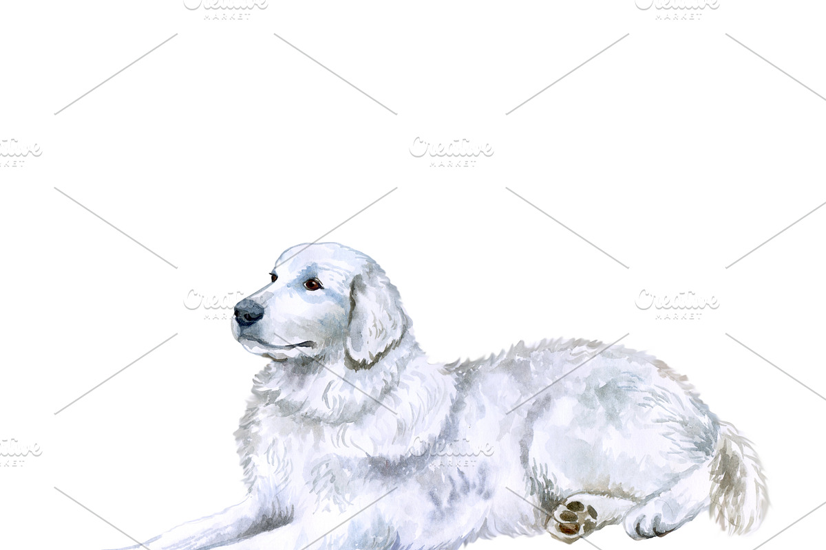 Watercolor Dogs Mega Big Bundle, an Illustration by Dneprstock (Photo 45 of 60)