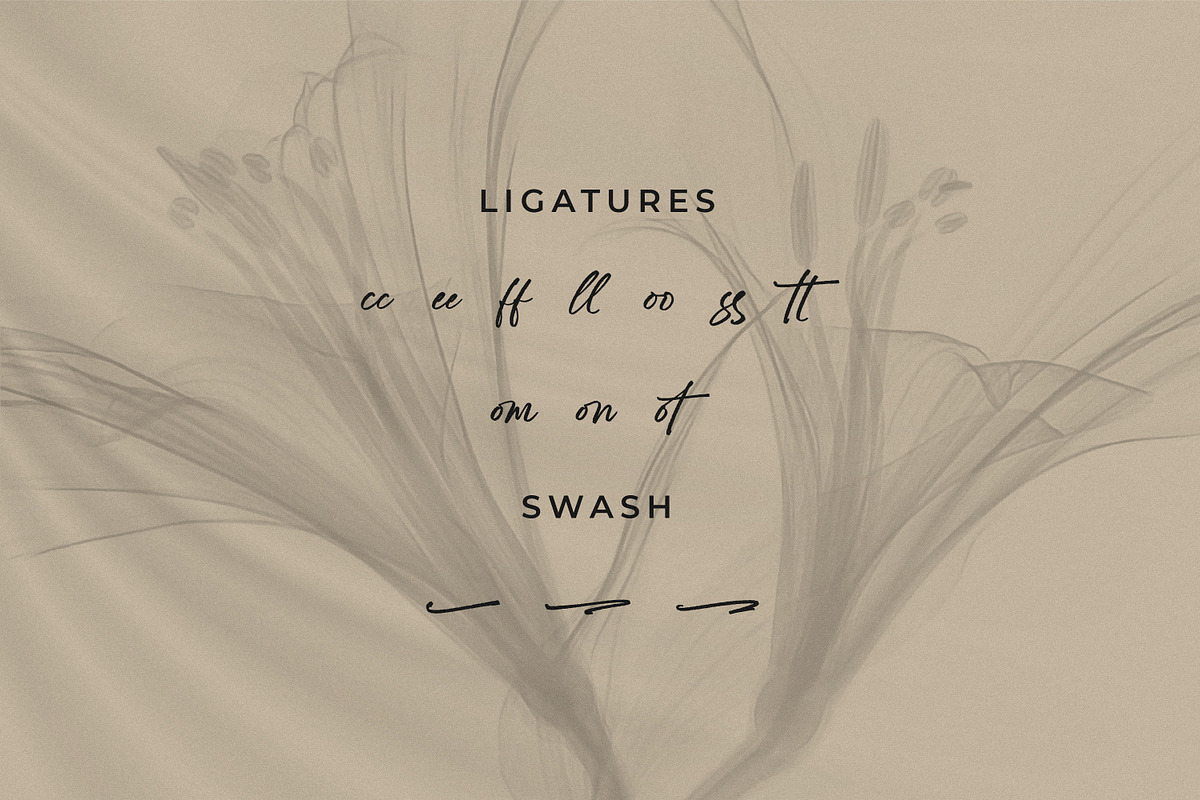 Venttaelove, a Handwritten Font by Integritype Studio (Photo 11 of 15)