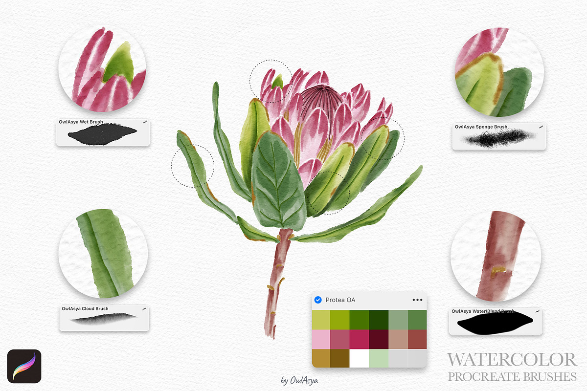 Watercolor Brushes for Procreate, a Brush Add-On by owlasya (Photo 7 of 9)