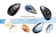 Hand-painted Seashells | 7 cliparts, an Illustration by Miriam Figueras (Thumbnail 1 of 3)