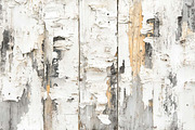varied wood grain bundle, a Texture Graphic by VetalStock (Thumbnail 8 of 12)