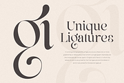 Life Sugar - Unique Serif Font, a Serif Font by Sensatype (Thumbnail 4 of 16)