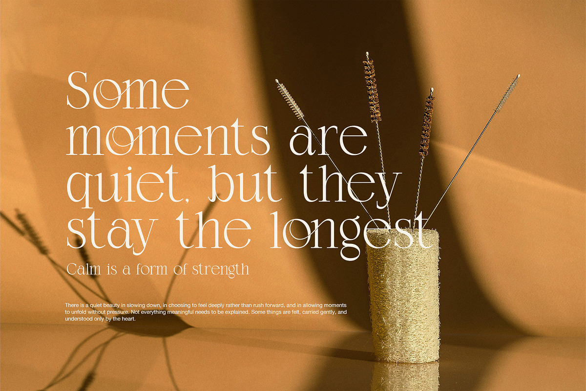 Agiona – Elegant Contrast Serif Font, a Serif Font by Graphicxell (Photo 4 of 8)