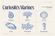 Montaire - Old Money Serif, a Serif Font by HipFonts (Thumbnail 13 of 20)