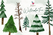 Pine Tree Clipart, Watercolor 109, an Illustration by Drawberx (Thumbnail 1 of 9)