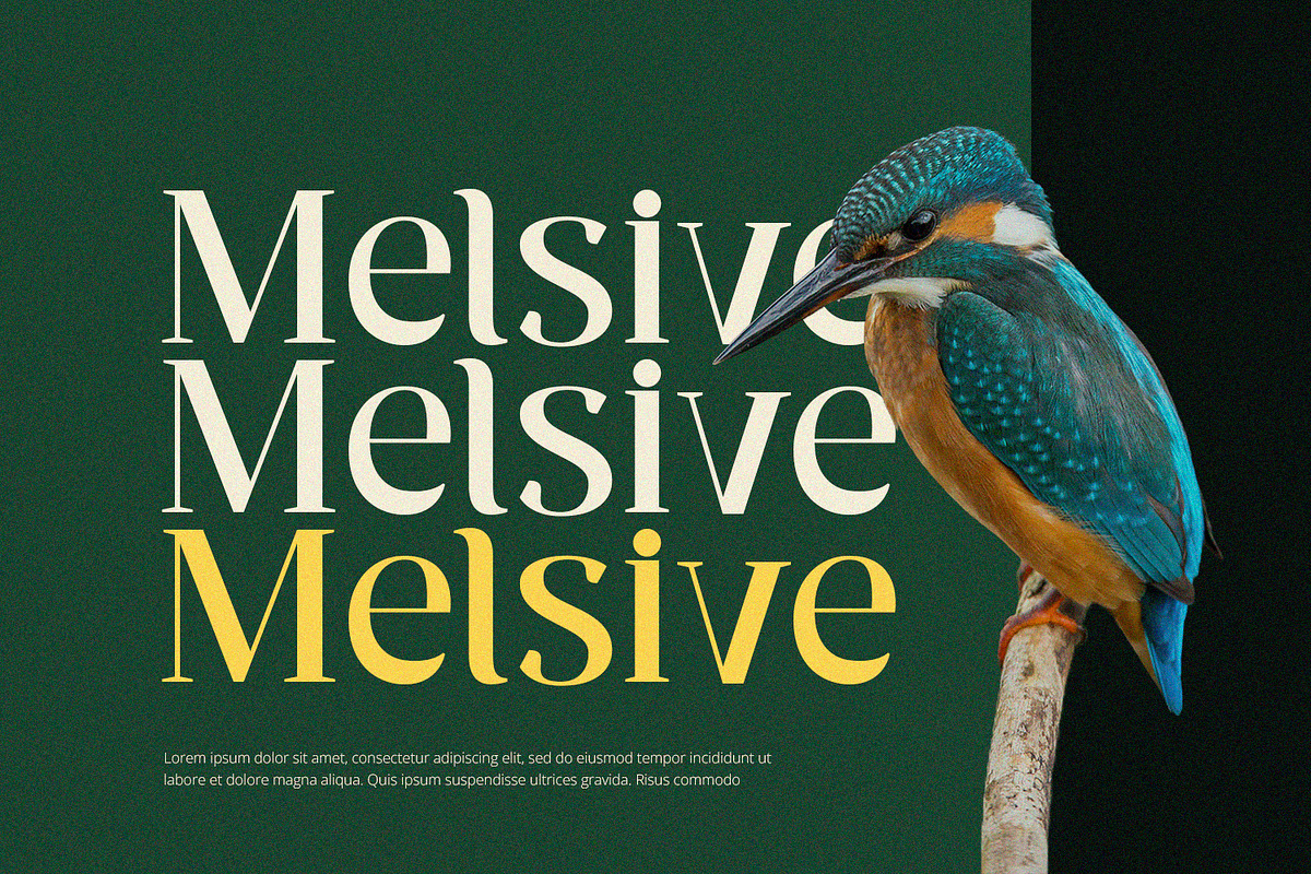 Ventura - Serif Font, a Serif Font by Alpaprana (Photo 4 of 10)