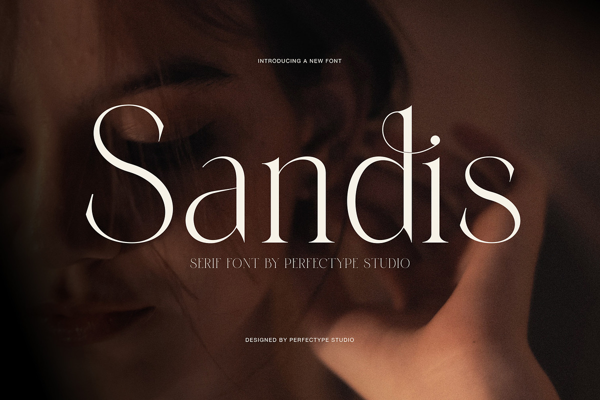 Sandis Elegant Serif Font, a Serif Font by Perfectype (Photo 1 of 8)
