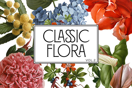 Botanical Flowers vol.2