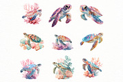 watercolor turtle Clipart, an Illustration by Designworld (Thumbnail 5 of 8)