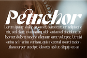 Categories Elegant Font, a Sans Serif Font by 177Studio (Thumbnail 2 of 8)