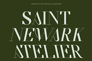 CS Salsa – Elegant Serif Font, a Serif Font by Craft Supply Co. (Thumbnail 6 of 8)