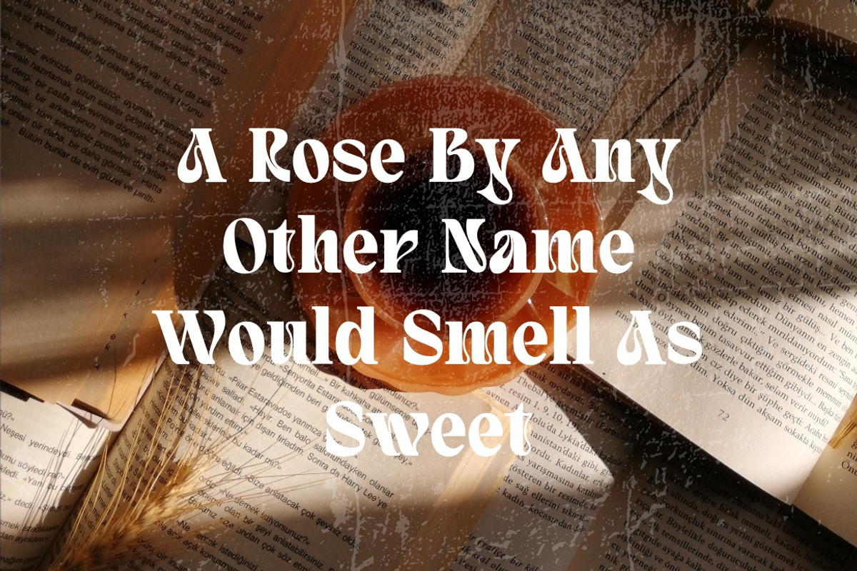 Quivert - Serif Display Font, a Serif Font by Dhabee (Photo 3 of 17)