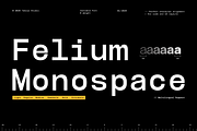 TBJ Felium Monospace Clean Modern, a Sans Serif Font by Taboja Studio (Thumbnail 1 of 15)