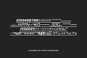 Lokoxi - Standard Family, a Sans Serif Font by Anfound Type (Thumbnail 9 of 14)