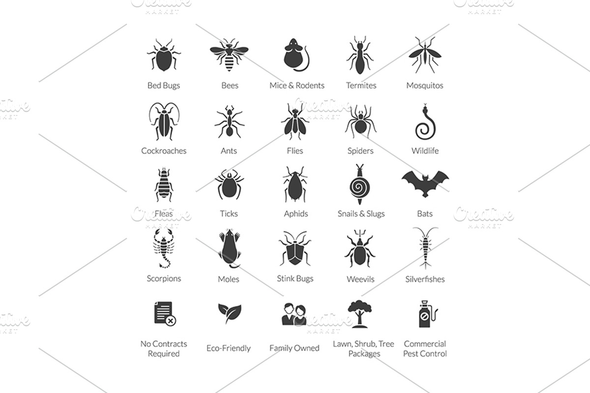 Pest Control Icon set, an Icon by Designifty (Photo 1 of 3)