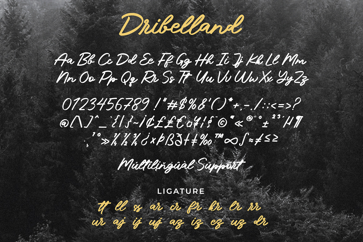 Dribelland - a handwritten font, a Script Font by Beautypes (Photo 5 of 7)