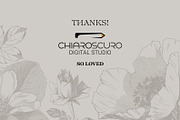 Vintage Botanical Vector Set, a Decorative Illustration by Pingebat (Thumbnail 18 of 18)