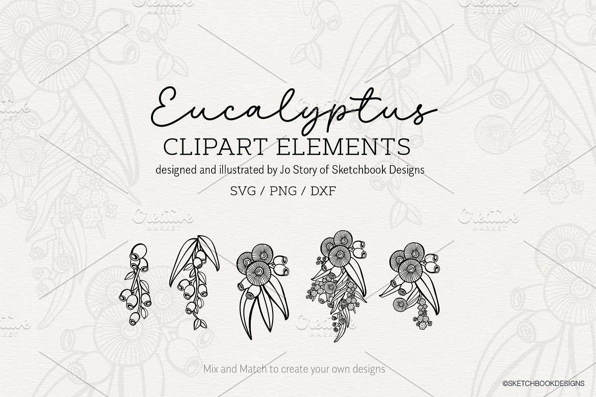 5 Eucalyptus Clipart Elements, a Decorative Illustration by Sketchbook Designs (Photo 1 of 4)